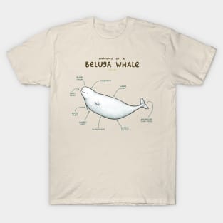 Anatomy of a Beluga Whale T-Shirt